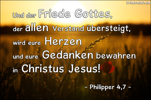 Bibel Sprüche zum Geburtstag routefinders