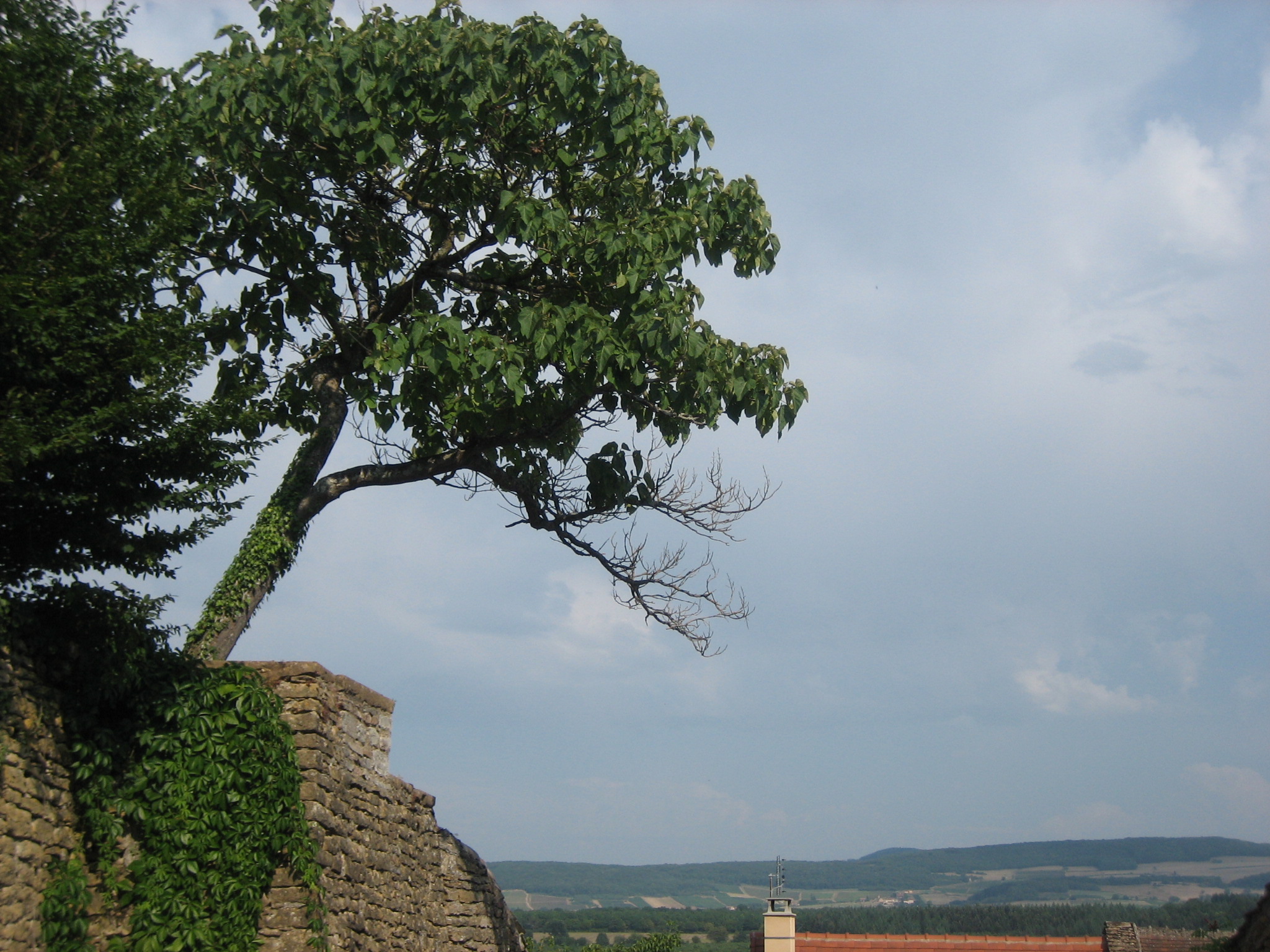 Taize Gebet